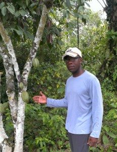 Dr. Chandler at a cocoa farm.