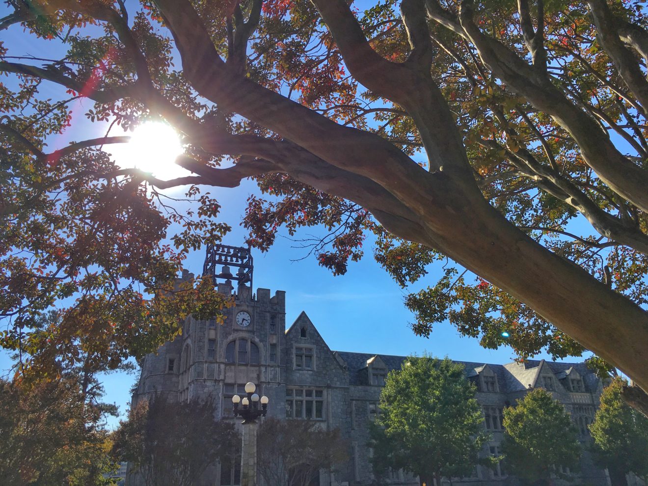 Oglethorpe a 'standout' in 2021 Forbes College Financial Grades