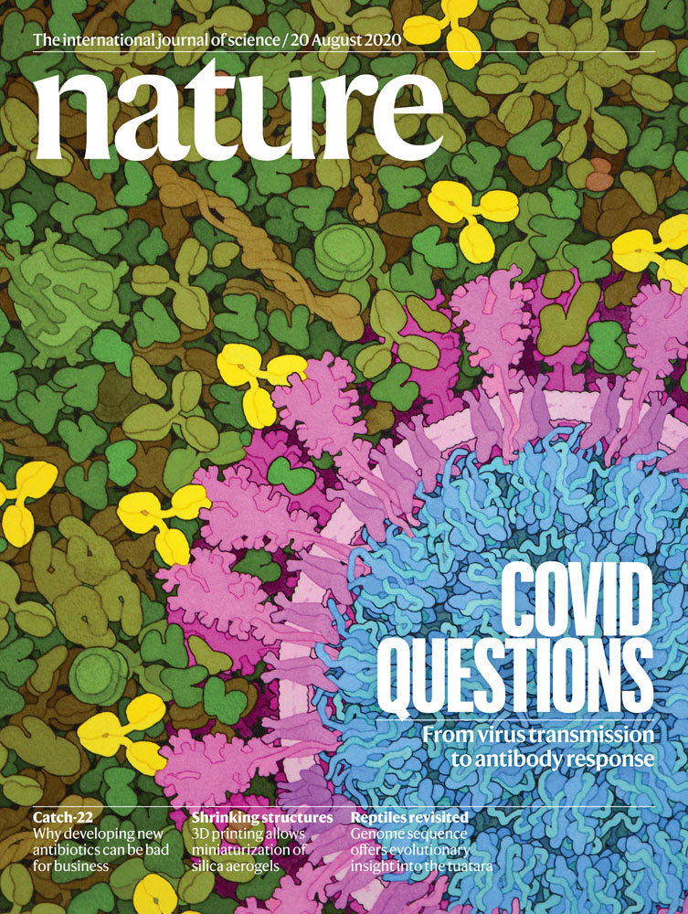August 2020 Nature magazine cover of a scientific illustration depicting the COVID virus. 